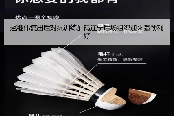 赵继伟复出后对抗训练加码辽宁后场组织迎来强劲利好